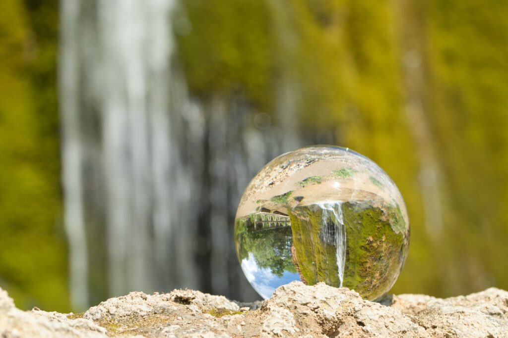 Sustentable o Sostenible