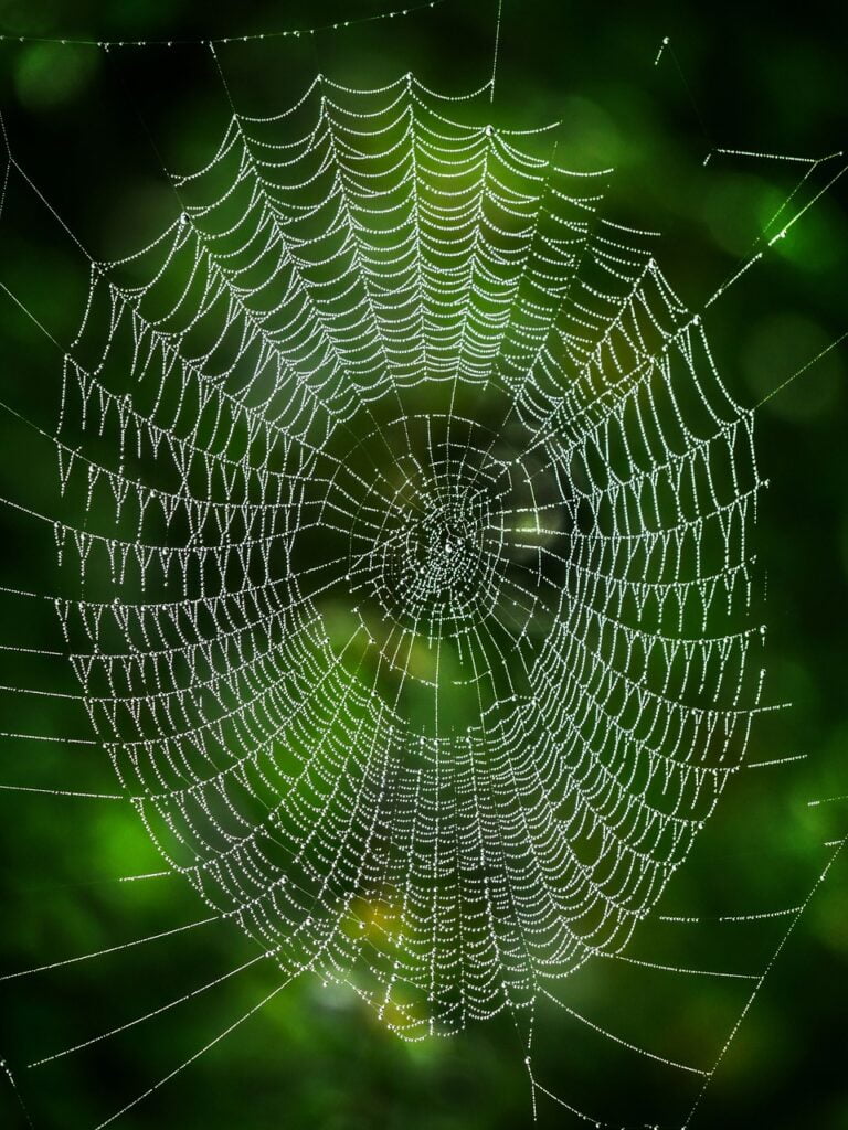 Dispositivos de red