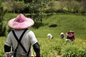 drones agrícolas