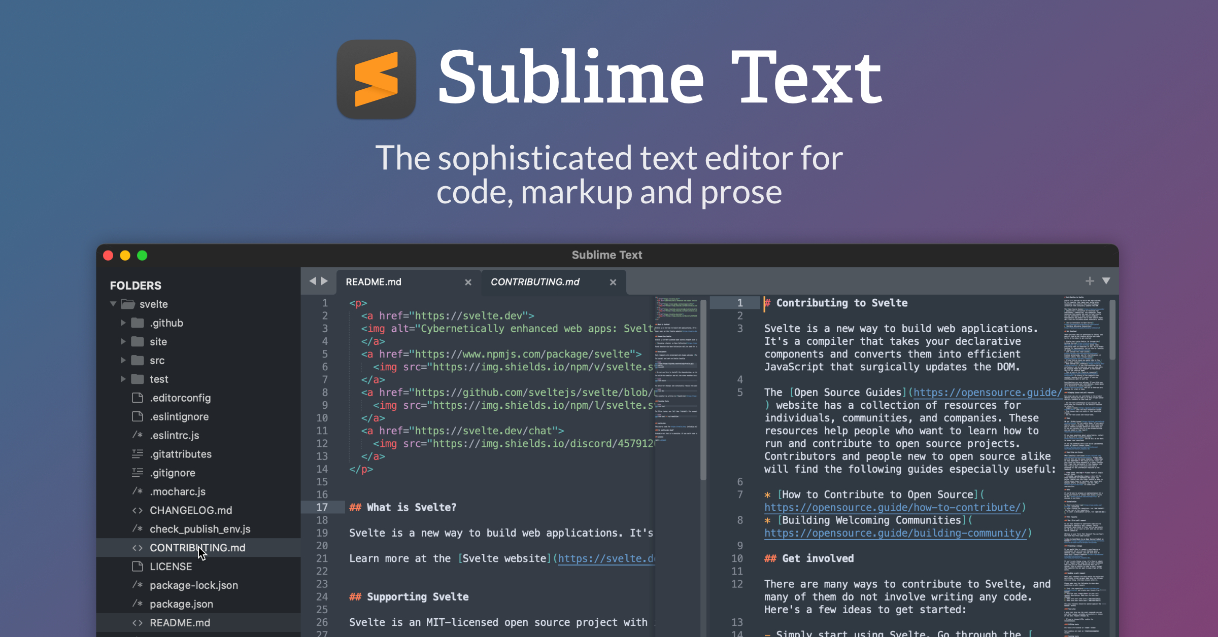 que es sublime text-0