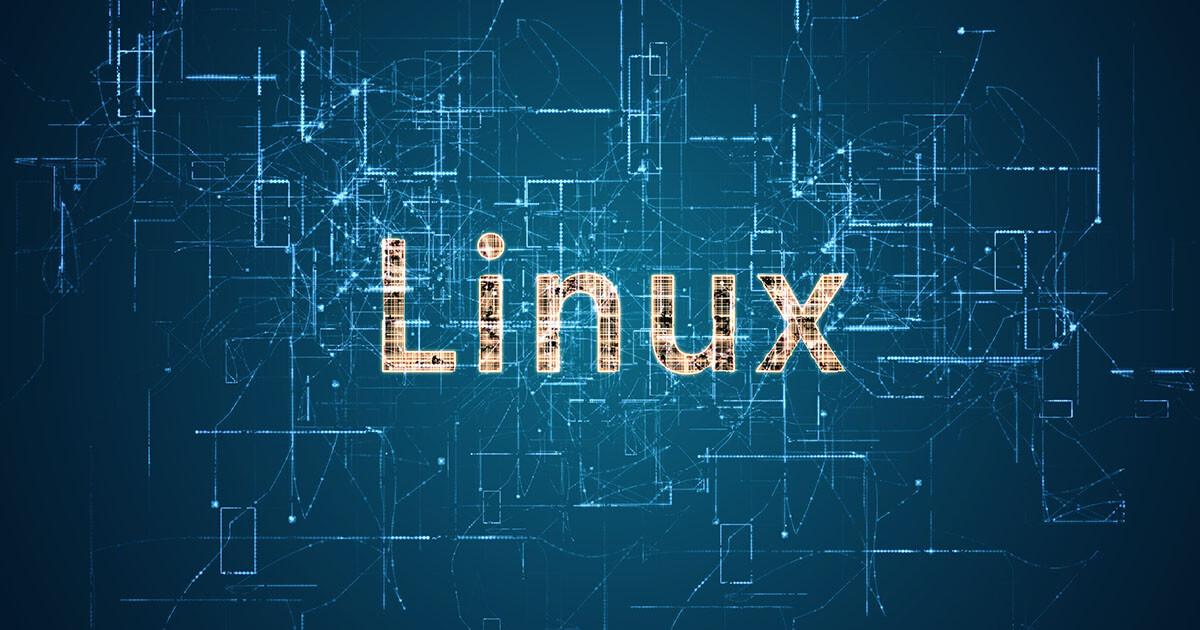 Imagen ping en Linux
