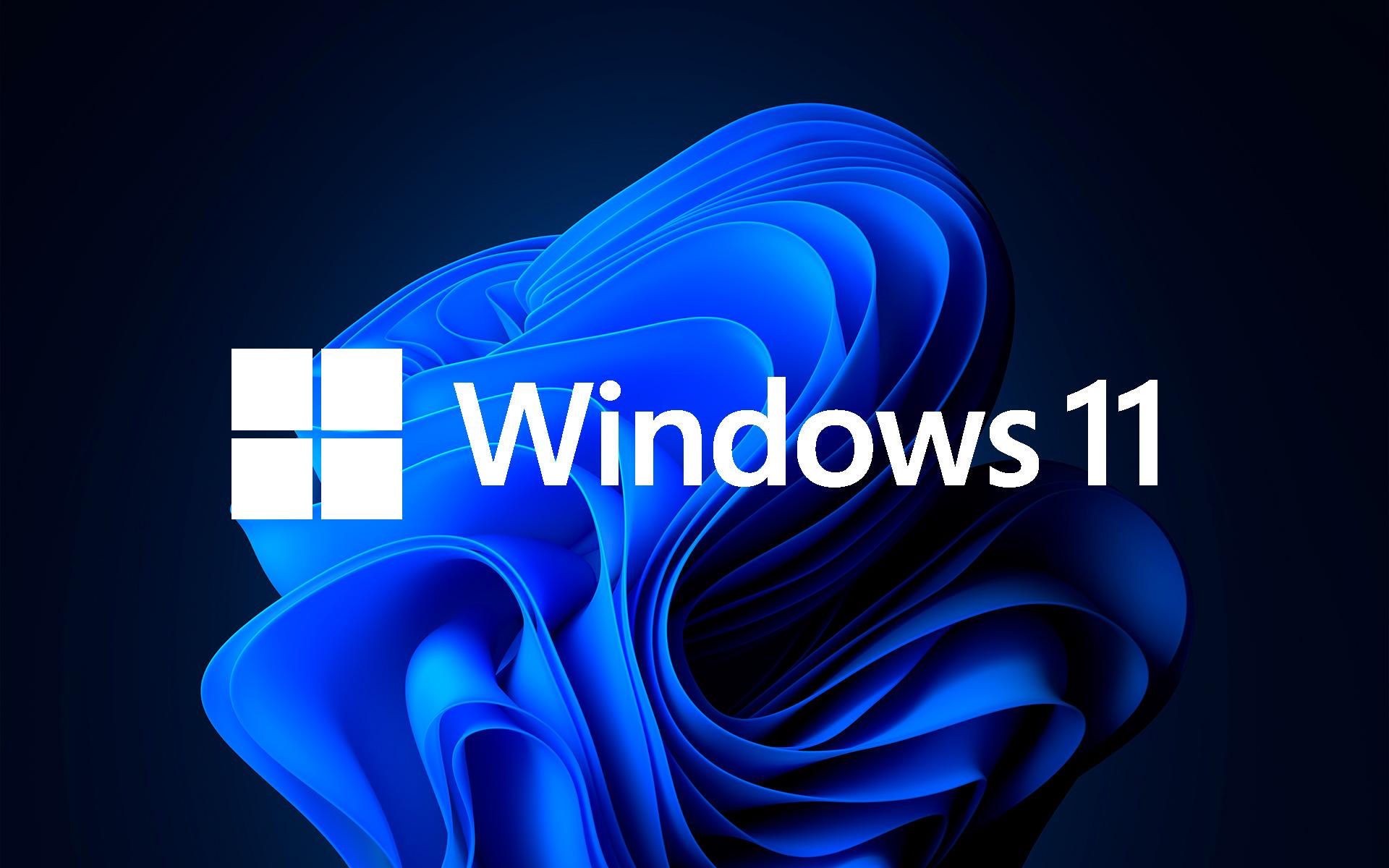 Funcionamiento de QMR en Windows 11