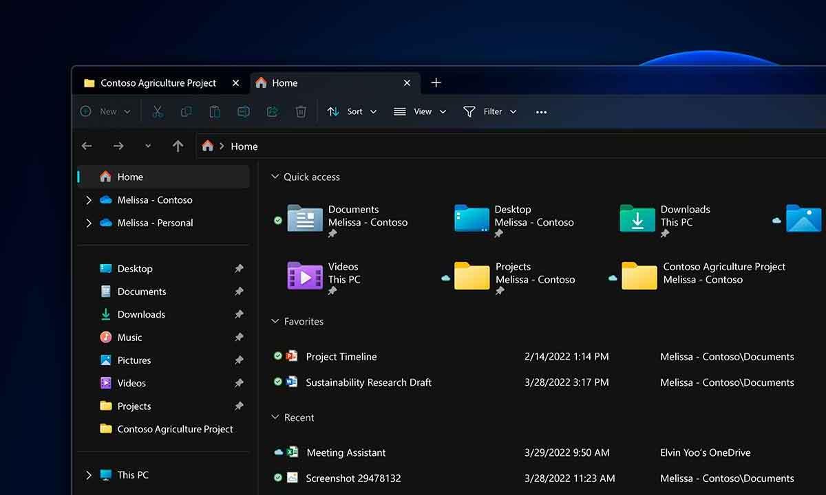 Explorador de archivos Windows 11 lento