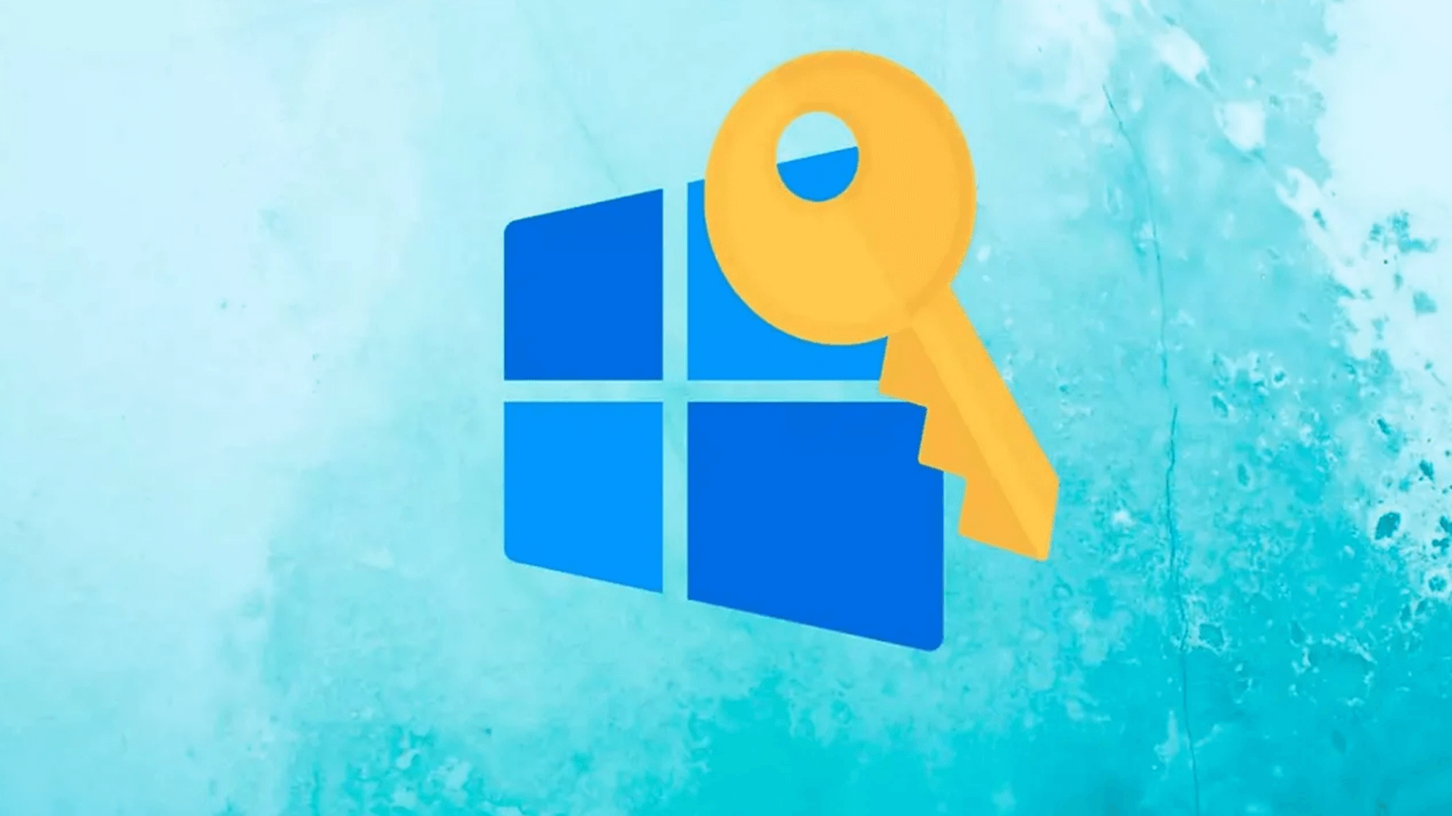 Tipos de licencias Windows 11