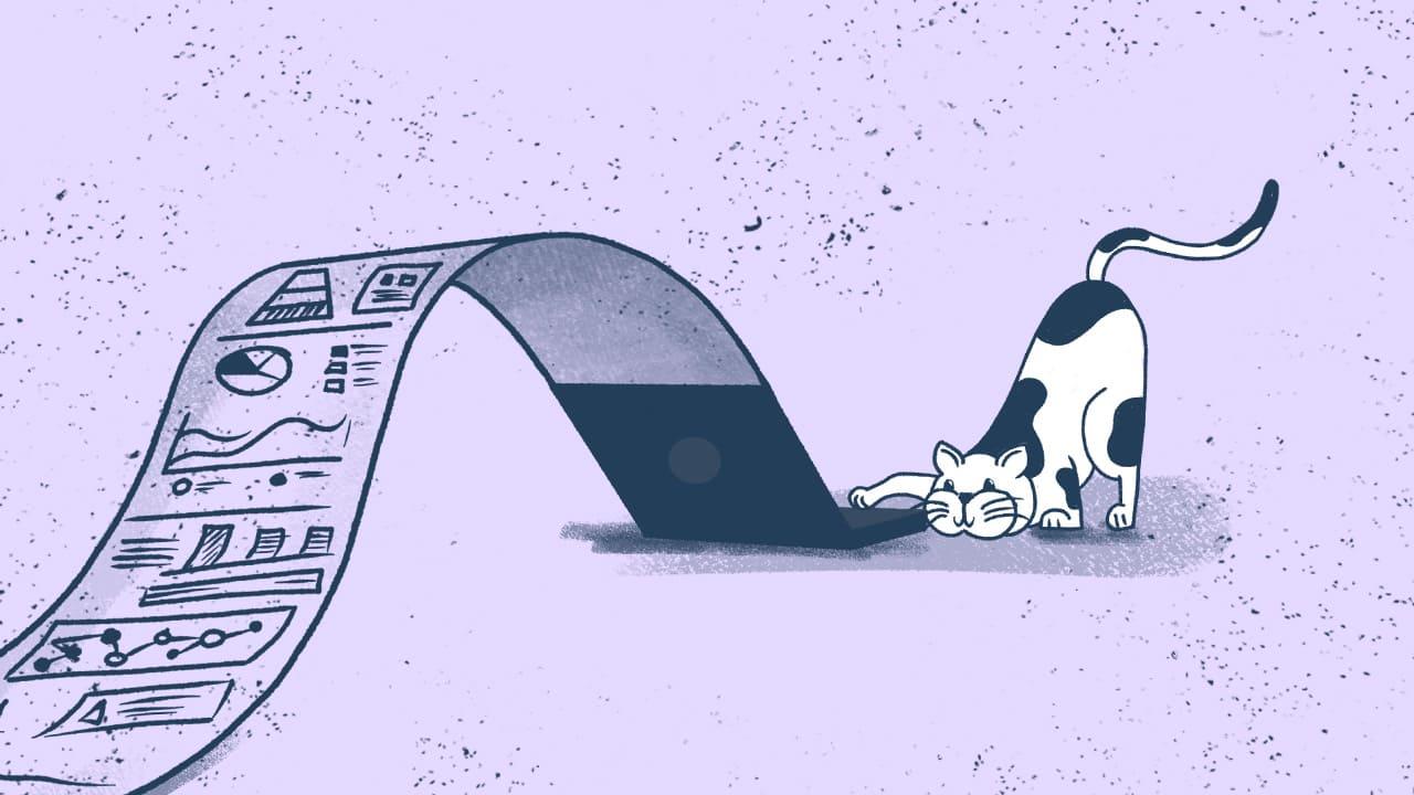 newsletter y tecnología