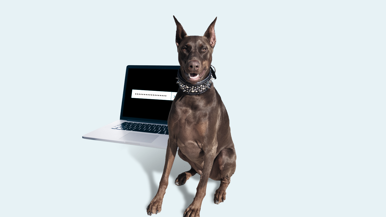 Ejemplos de contraseñas fuertes