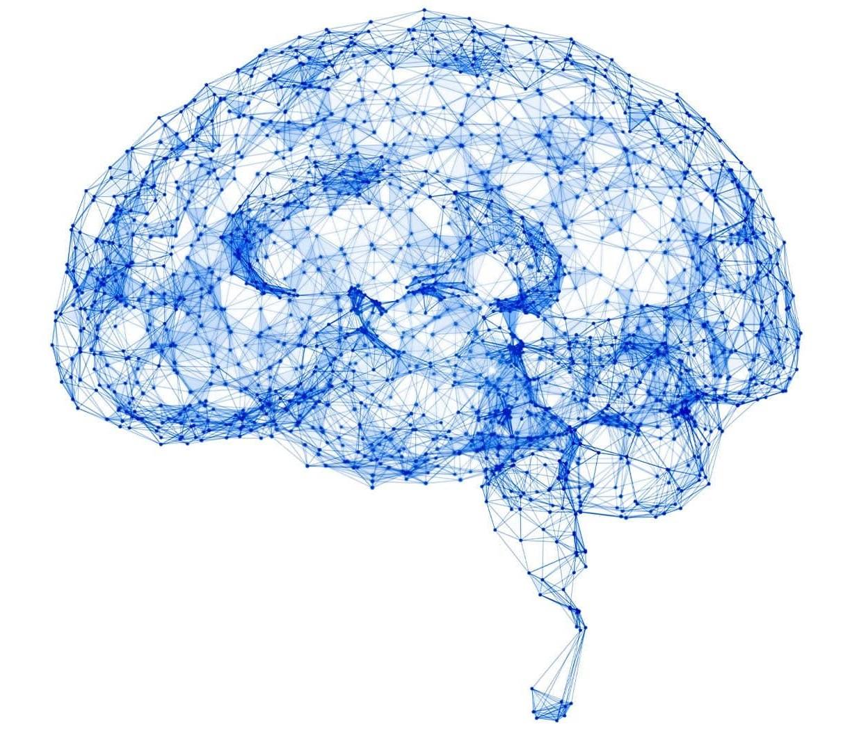 procesos de transformacion digital