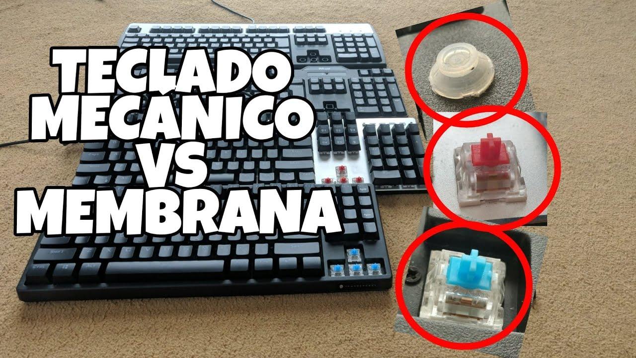 teclados de membrana y mecánicos sobre un escritorio