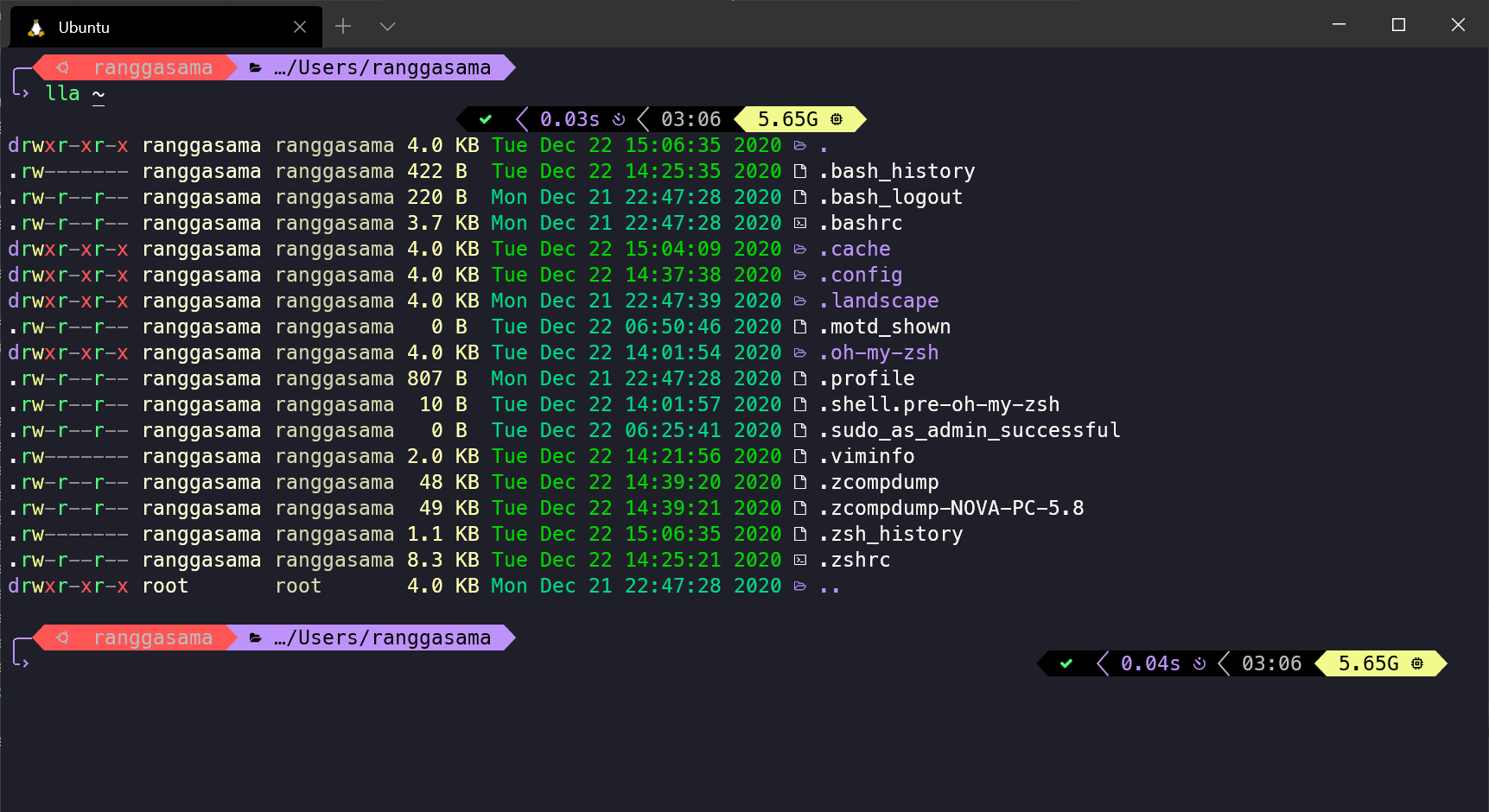 Entorno WSL2 y Zsh personalizado