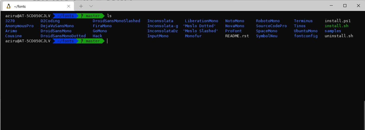Automatización WSL2 Zsh en Windows Automatización WSL2 Zsh en Windows