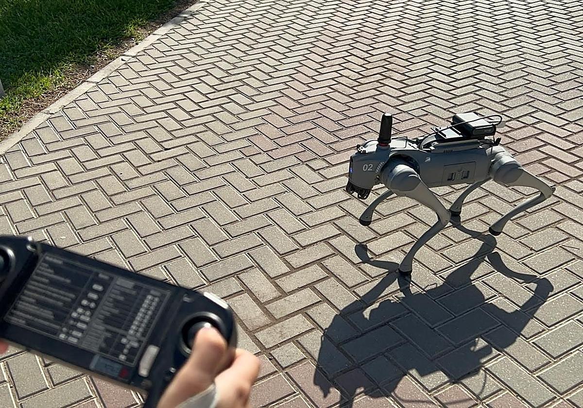 robot lazarillo con ruedas robot lazarillo con ruedas