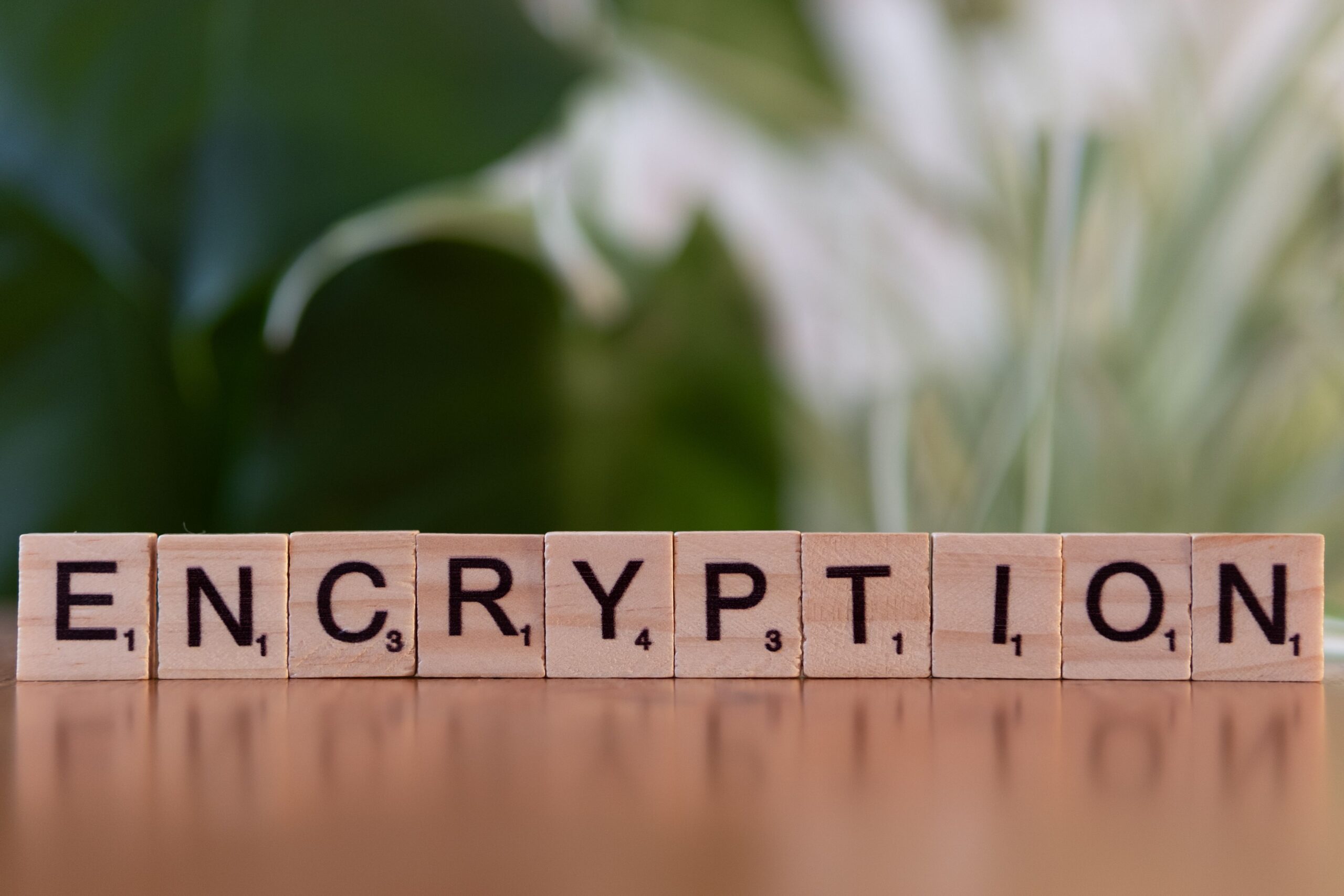 Ciberseguridad empresarial