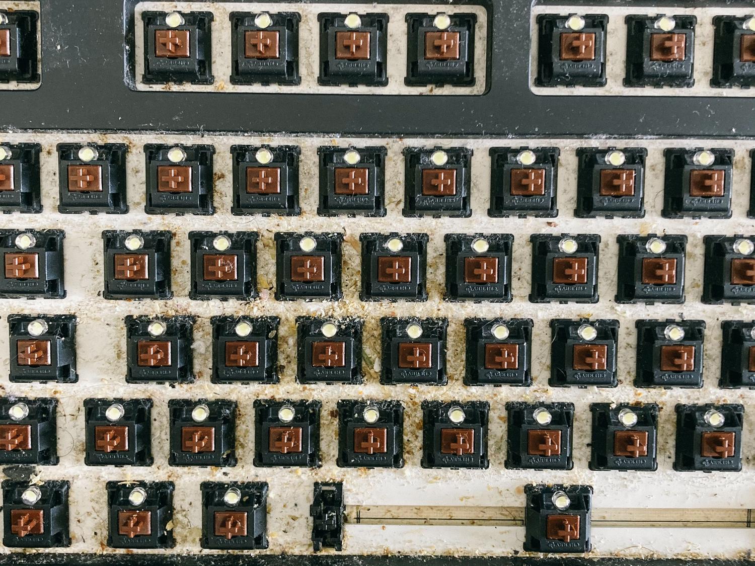 Primer plano de la base de un teclado mecánico sucio sin las teclas, mostrando la acumulación de polvo y residuos.