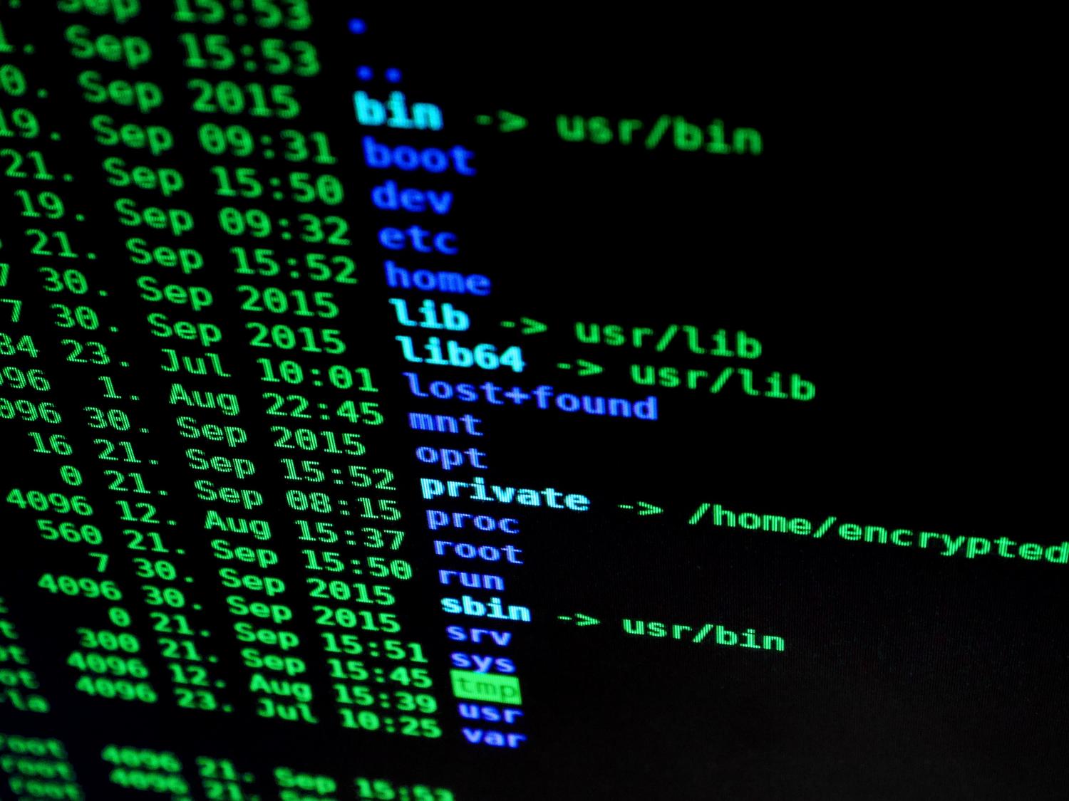 Primer plano de una terminal de Linux mostrando el listado de directorios del sistema.