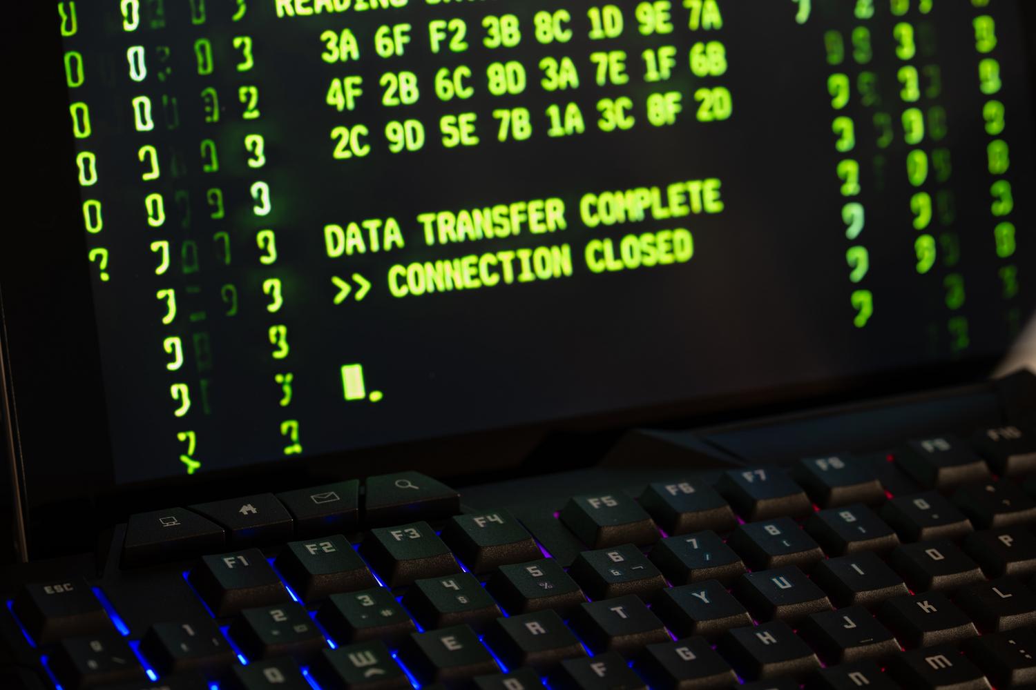 Pantalla de terminal amb codi i dades tècniques, representant l'anàlisi de programari i l'execució de processos en un entorn controlat.